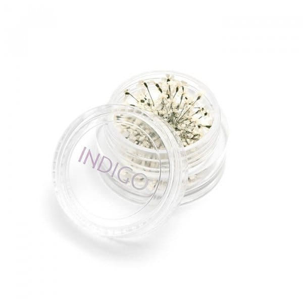 Dried Flowers White