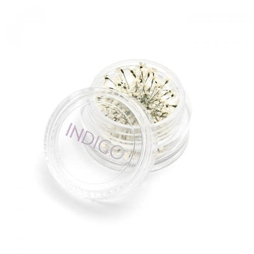 Dried Flowers White