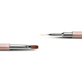 Multi-Technique Dual Brush