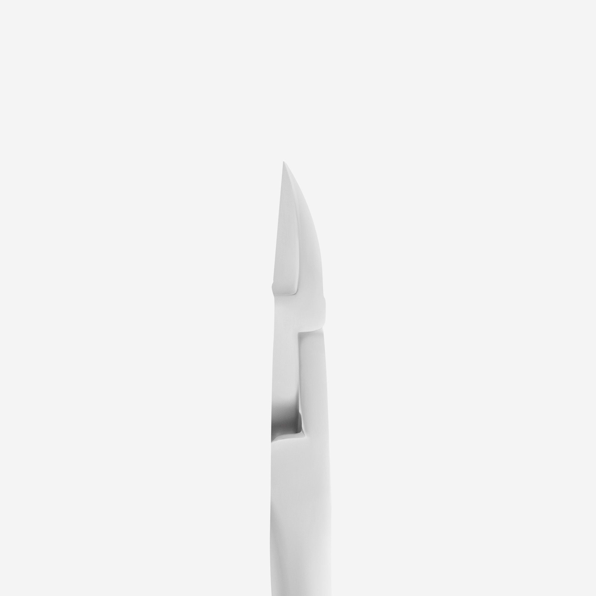 Professional nail nippers Staleks Pro Expert 60, 12 mm NE-60-12